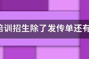 篮球训练营招生方案怎么写